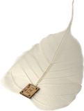 Natural Bodhi Leaf Filter